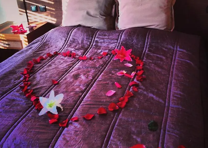 парк зелена европа Хотел